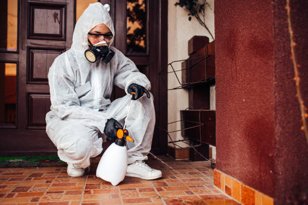 Attic and Crawl Space Rodent Treatment in Waverly